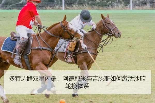 多特边路双星闪耀：阿德耶米与吉滕斯如何激活沙欣轮换体系 - PG